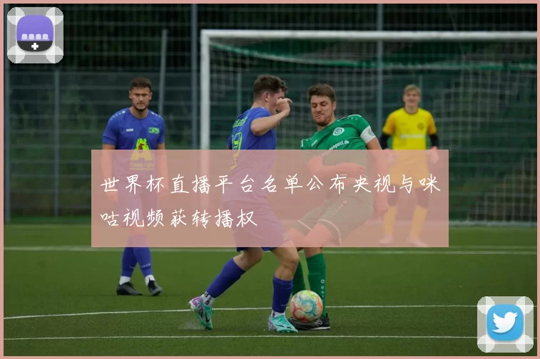 世界杯直播平台名单公布央视与咪咕视频获转播权